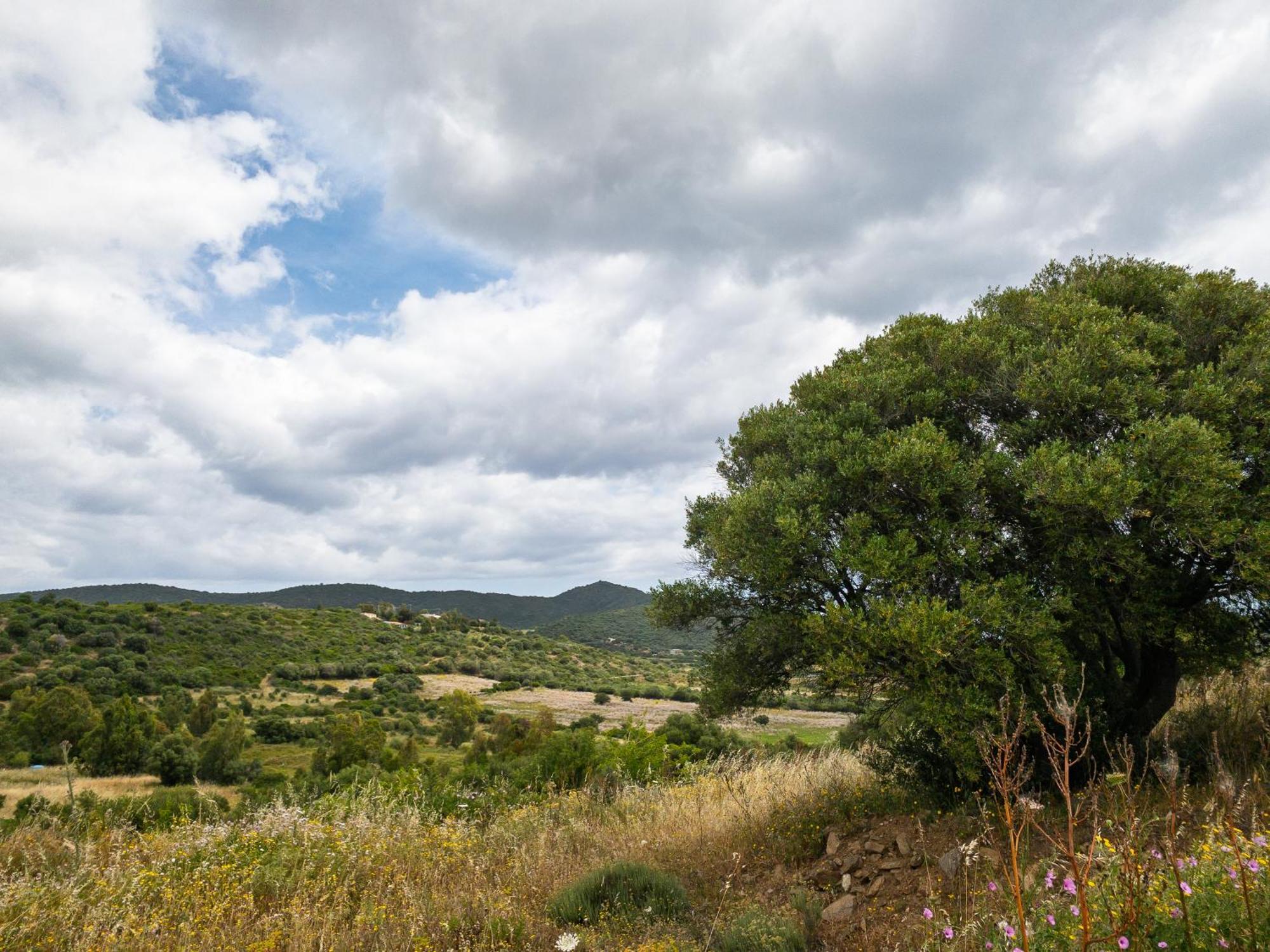 Agriturismo Guparza 포사타 외부 사진